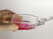 Botella para cultivo de células T-flask