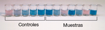 Kit ELISA Veratox® para determinación de Alérgenos x 48 pocillos