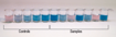 Kit ELISA Veratox® para determinación de Micotoxinas