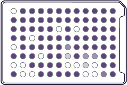 Microplaca YT para identificación de levaduras x 10 u.