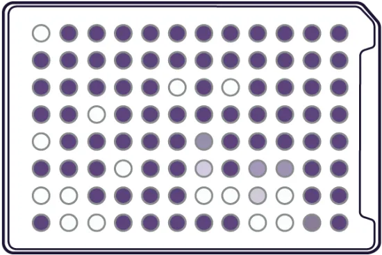 Microplaca YT para identificación de levaduras x 10 u.