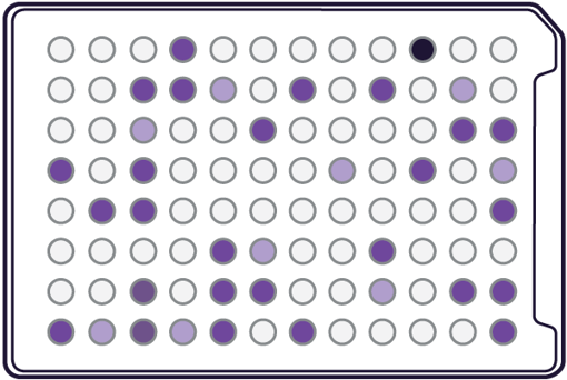 Microplaca AN para identificación de bacterias anaeróbicas x 10 u.