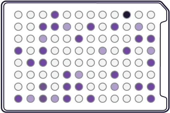 Microplaca AN para identificación de bacterias anaeróbicas x 10 u.