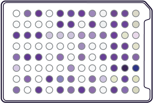 Microplaca GEN III para identificación de bacterias Gram+ y Gram- x 10 u.