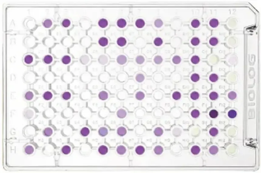 Protocolo de Trabajo para el Uso de EcoPlates a partir de Muestras de Suelo y Agua