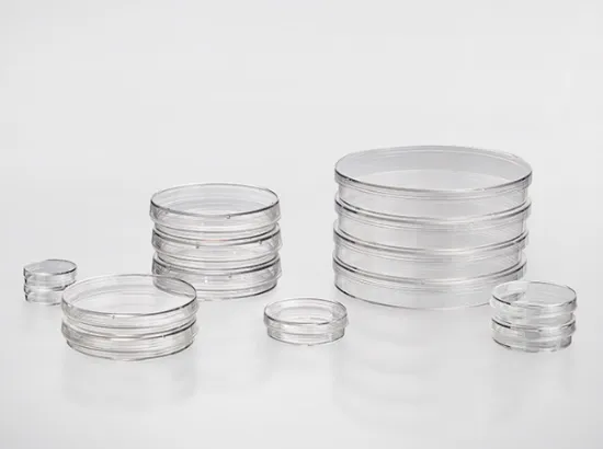 Placas de cultivo de células y tejidos no tratado