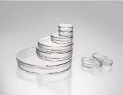 Placas de cultivo de células y tejidos no tratado