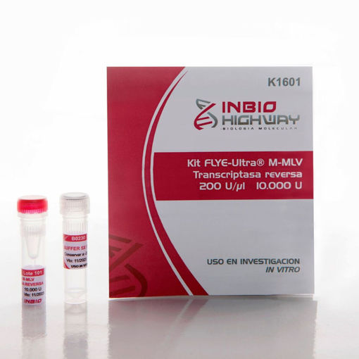Kit FLYE-Ultra M-MLV Transcriptasa reversa 200 U/µl 10.000 U