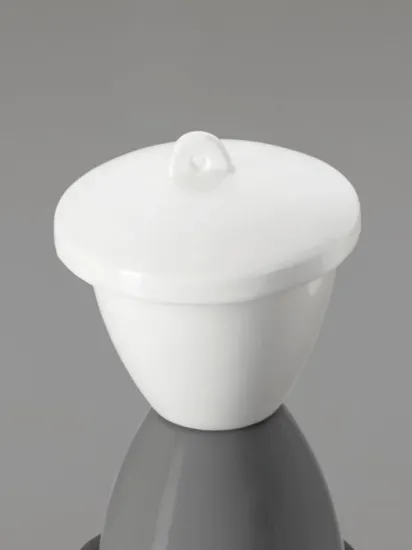 Crisol de Porcelana forma alta con tapa Glassco