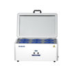 Baño termostático digital con tapa BK-W2 para  2 gradillas