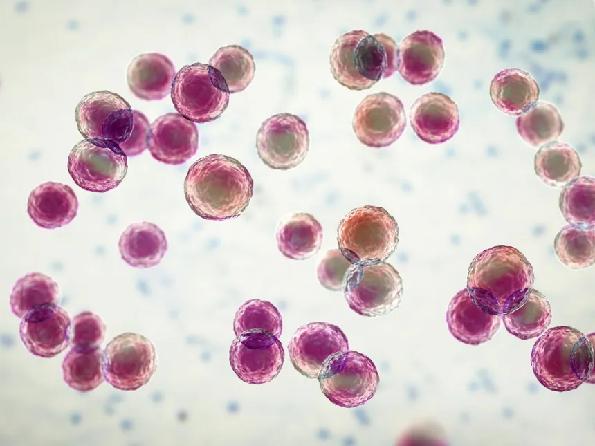RhizoPlate™: innovación de Biolog para evaluar bacterias benéficas en suelos agrícolas