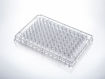 Placa para cultivo celular con tratamiento