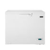 Freezer horizontal 368 litros -10 a -25°C