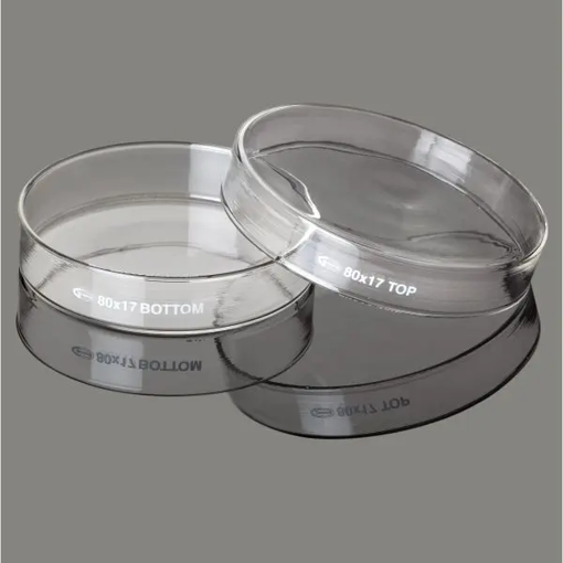 Placa de petri de vidrio borosilicato 3.3 100 x 20 mm