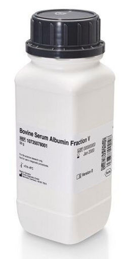 Seroalbúmina bovina Fracción V x 50 g.
