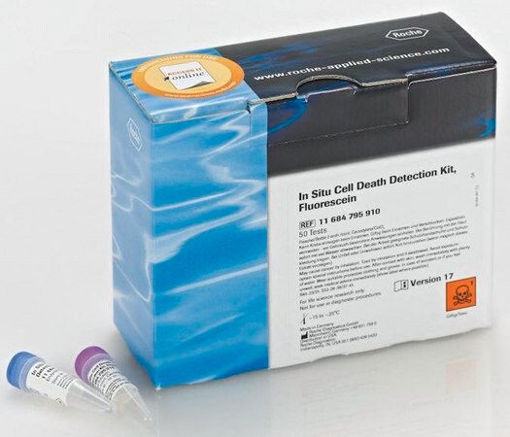 Kit de detección de muerte celular in situ - fluoresceína x 50u.
