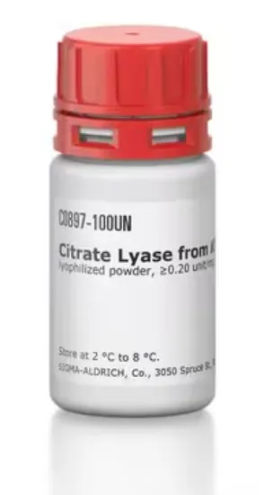 Citrato liasa de Klebsiella pneumoniae x 50g