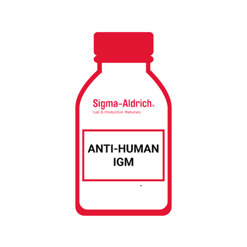 Anti-Human IgM