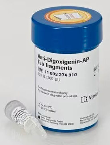 Anti-Digoxigenin-AP, Fab fragments de oveja x 200 µl