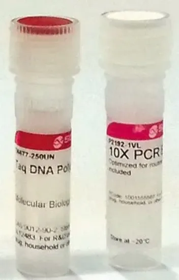Taq DNA Polimerasa de Thermus aquaticus x 250u.