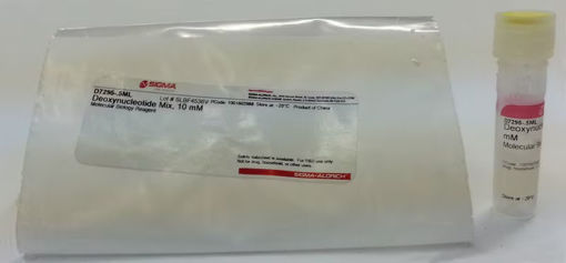 Mezcla de dNTPs 10 mM Mezcla de dNTPs x 0,2ml.