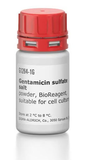 Gentamicina Polvo BioReagent x 1g.