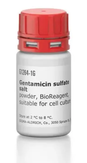 Gentamicina Polvo BioReagent x 1g.