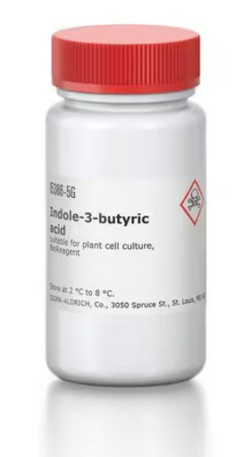 Acido Indol butírico Auxina x 5g.
