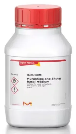 Medio Basal Murashige and Skoog