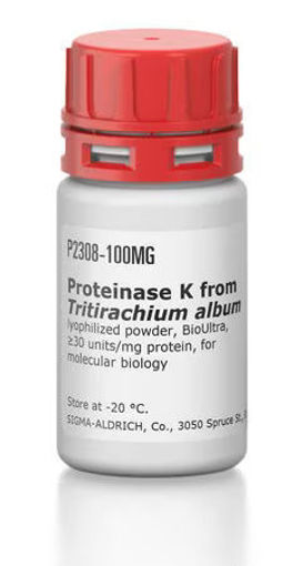 Proteinasa K de Tritirachium album Polvo liofilizado x 100mg.