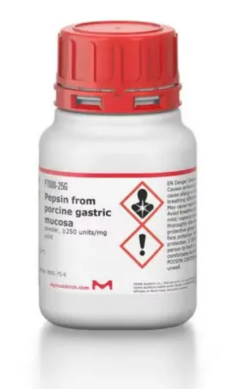 Pepsina de mucosa gástrica porcina Polvo