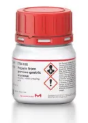 Pepsina de mucosa gástrica porcina Polvo