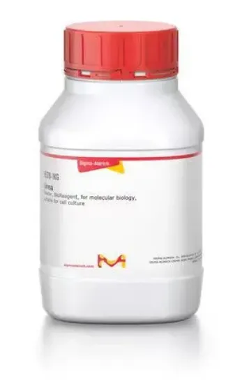 Agua libre de nucleasas y proteasas, no tratada con DEPC x 1 litro