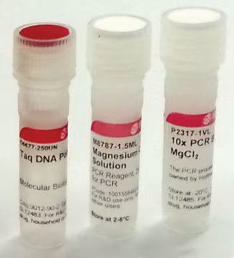 Taq DNA Polimerasa de Thermus aquaticus x 250u.