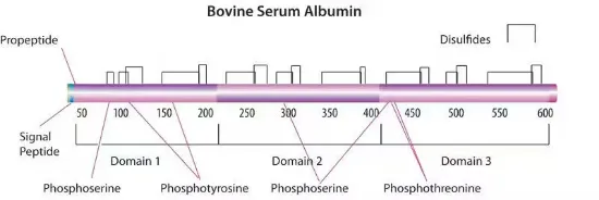 BSA 35% en DPBS. estéril, BioXtra x 5ml.
