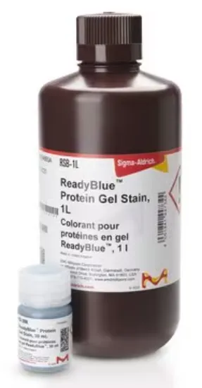 EZBlue Reactivo para tinción de geles x 500ml.