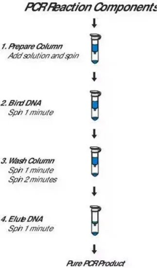 GenElute - PCR Clean-Up Kit  x 70 purificaciones