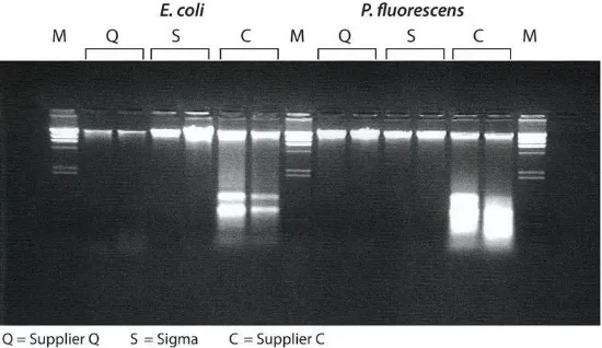 GenElute Kit de extracción de ADN genómico desde bacterias x 70 purificaciones