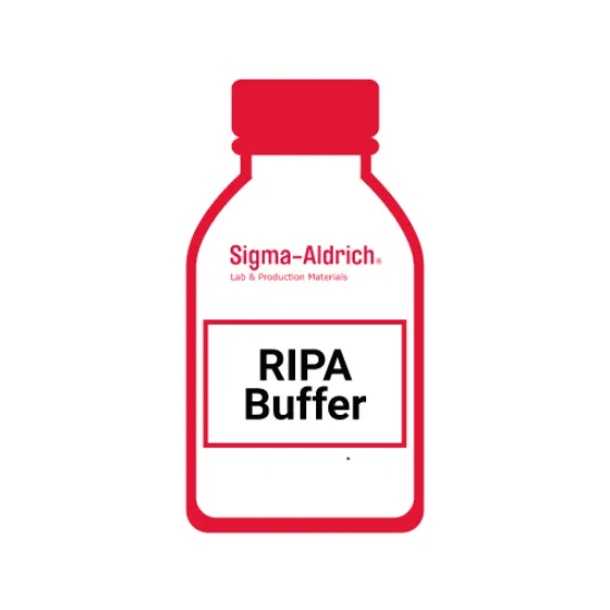 RIPA buffer Buffer de lisis y solubilización de proteínas
