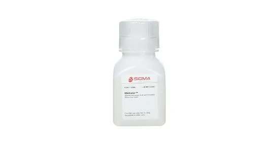 RNAlater Estabiliza y protege el ARN con la inactivación inmediata de la ARNasa x 100ml.