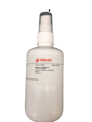 RNaseZAP Agente limpiador de RNAsa x 250ml.