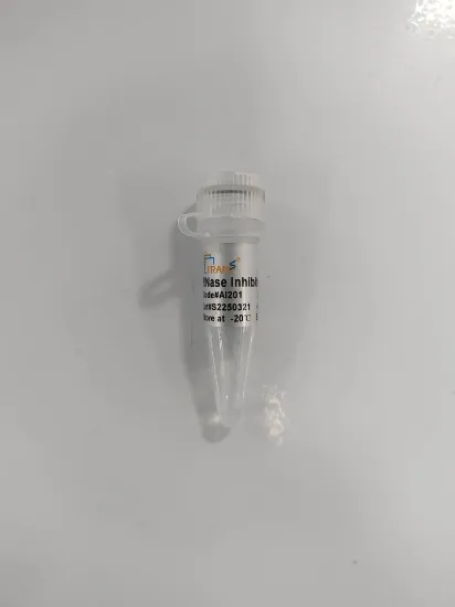 RNase Inhibitor Pro
