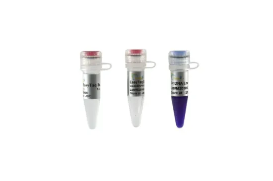 EasyTaq® DNA polimerasa