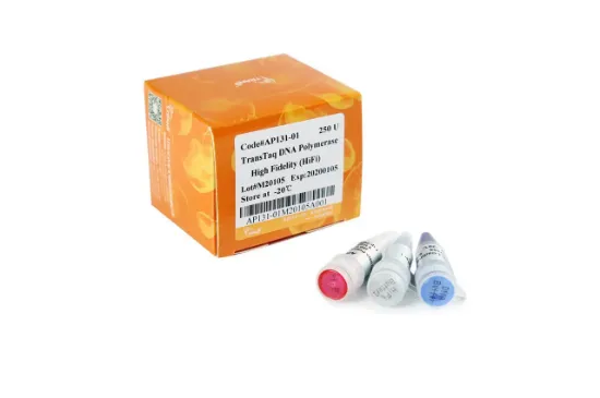 TransTaq® DNA Polimerasa High Fidelity (HiFi) 