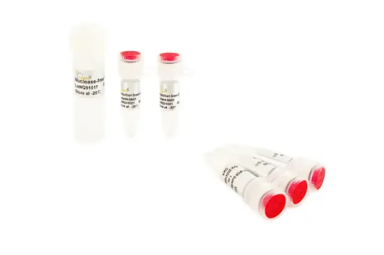 PerfectStart® Green - qPCR SuperMix x 1ml