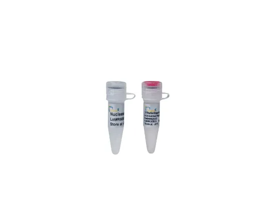 PerfectStart® Green (+Universal Passive Reference Dye) - qPCR SuperMix x 1ml