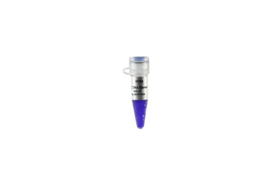 Trans2K® Plus II DNA Marker