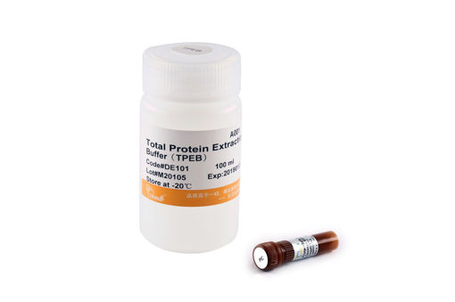 ProteinExt® Mammalian Total Protein Extraction x 100ml