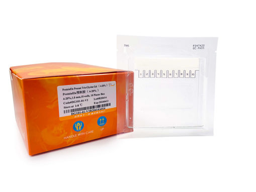 ProteinEle® Precast Tris-Glycine Gel (4-20%) x 10u