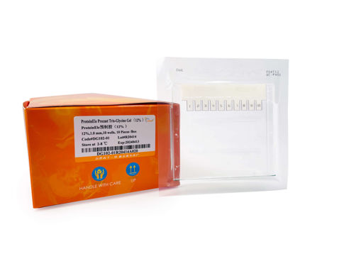 ProteinEle® Precast Tris-Glycine Gel (12%) x 10u